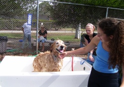 dog park newport beach