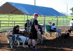 dog park in newport beach