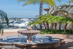 pet friendly hotel in newport beach