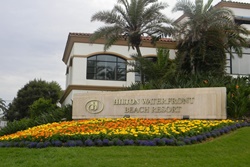 dog friendly hotel in newport beach