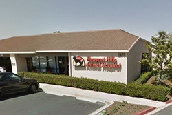 animal hospital in newport beach