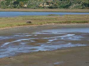 upper newport bay nature preserve