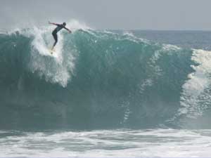 the wedge in newport beach